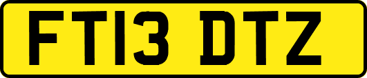 FT13DTZ