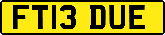 FT13DUE