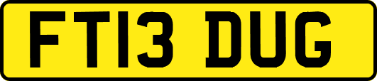 FT13DUG