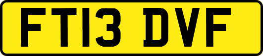 FT13DVF