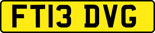 FT13DVG