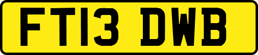 FT13DWB