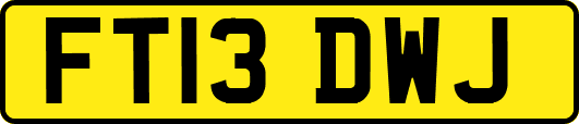 FT13DWJ