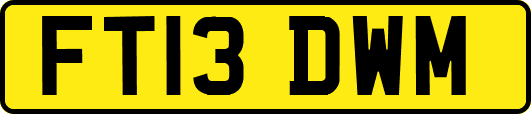 FT13DWM