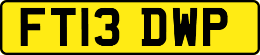 FT13DWP