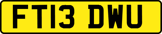 FT13DWU