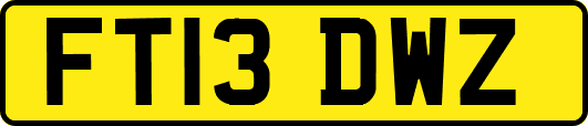 FT13DWZ