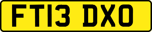 FT13DXO