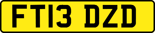 FT13DZD
