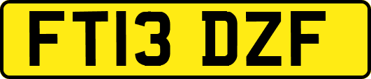 FT13DZF