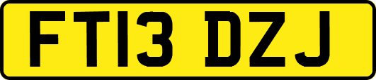 FT13DZJ