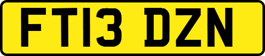 FT13DZN