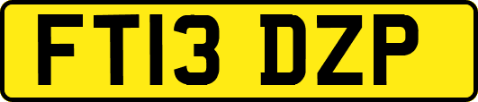 FT13DZP