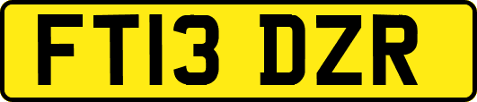 FT13DZR