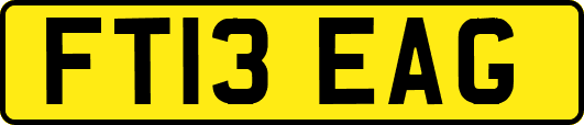 FT13EAG
