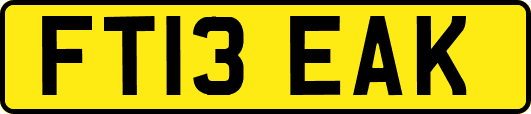 FT13EAK