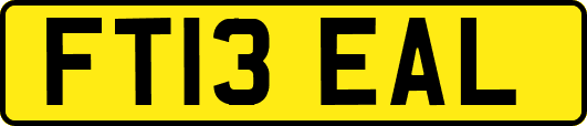 FT13EAL