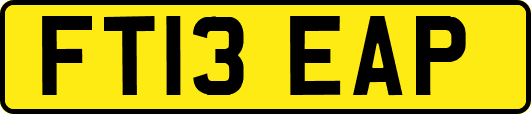 FT13EAP