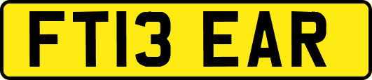FT13EAR