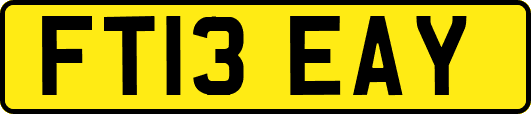 FT13EAY