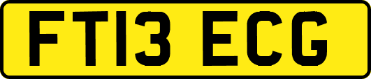 FT13ECG