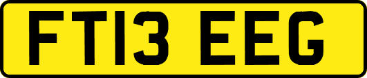 FT13EEG