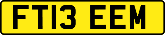 FT13EEM