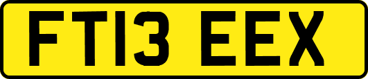FT13EEX