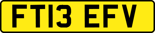 FT13EFV