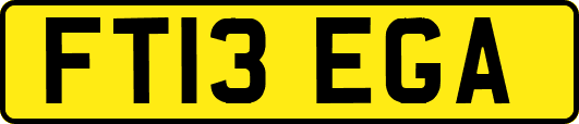 FT13EGA