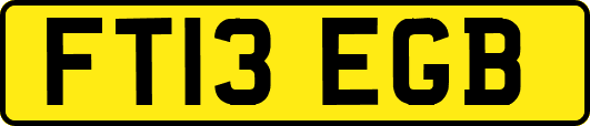 FT13EGB