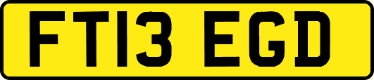 FT13EGD