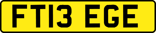 FT13EGE