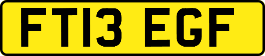 FT13EGF