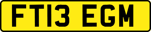 FT13EGM