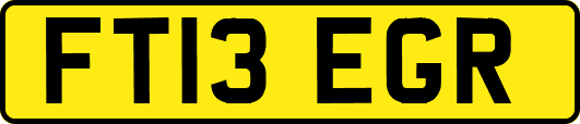 FT13EGR