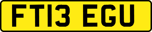 FT13EGU