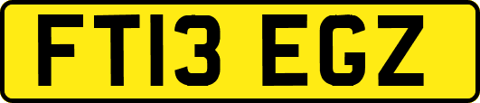 FT13EGZ