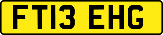 FT13EHG
