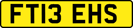 FT13EHS