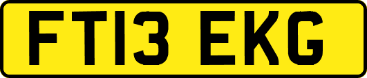 FT13EKG