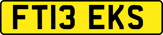 FT13EKS