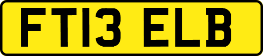 FT13ELB