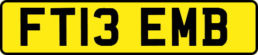 FT13EMB