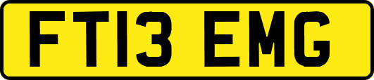 FT13EMG