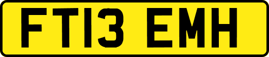FT13EMH