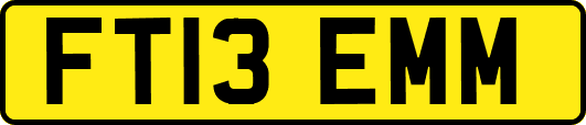 FT13EMM