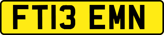 FT13EMN