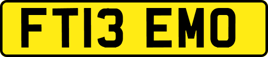 FT13EMO