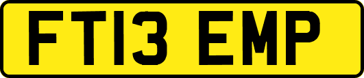 FT13EMP